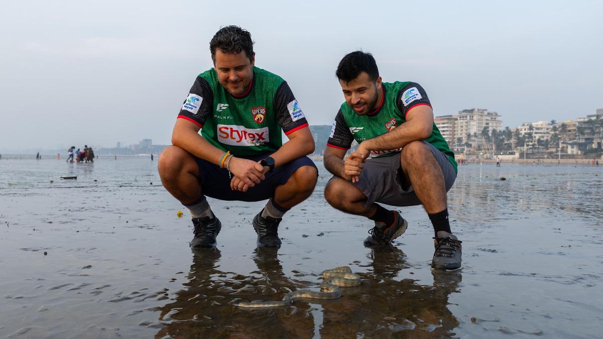 Sahir Doshi on being a “hip-hop wildlife educator”